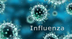 Infuenza virus